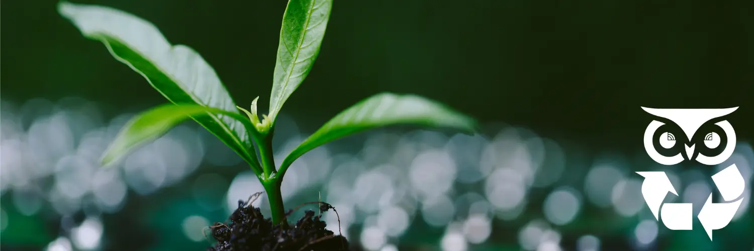 La démarche RSE avec les biodigesteurs connectés : une innovation dura